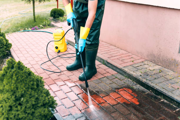 Best Driveway Pressure Washing  in , MD